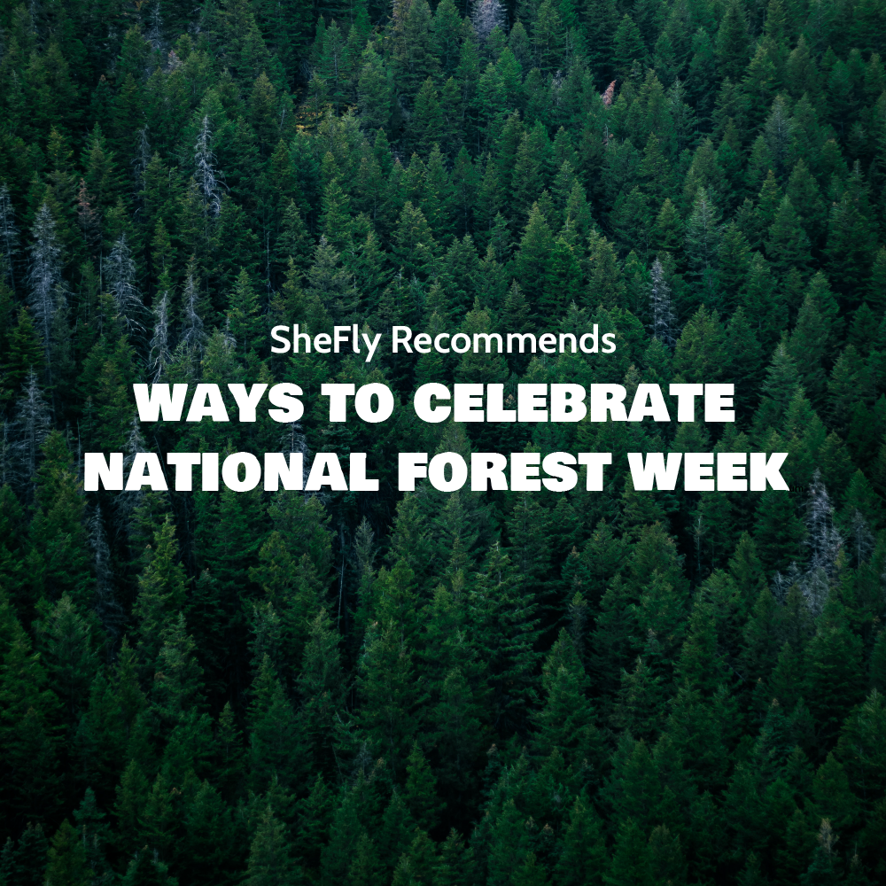 Ways To Celebrate National Forest Week – Gnara