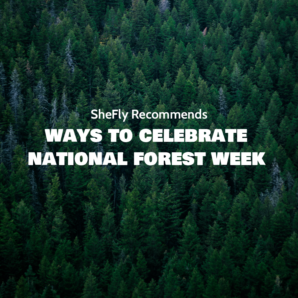 Ways to Celebrate National Forest Week